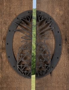 Pineapple Door Pull Open