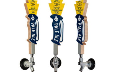 Blue Mountain Design Story